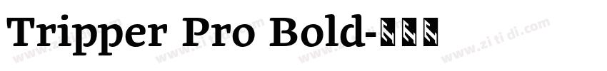 Tripper Pro Bold字体转换